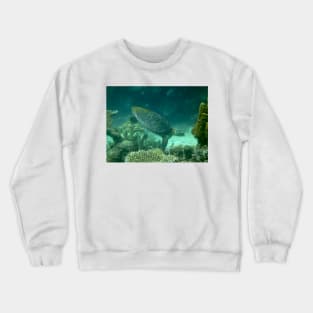 Turtle Crewneck Sweatshirt
